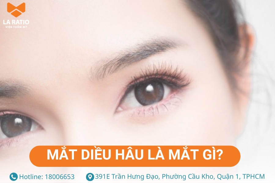 Mắt diều hâu là gì? Đây là dáng mắt có đuôi xếch lên cao và góc mắt hẹp Mắt diều hâu là gì? Đây là dáng mắt có đuôi xếch lên cao và góc mắt hẹp