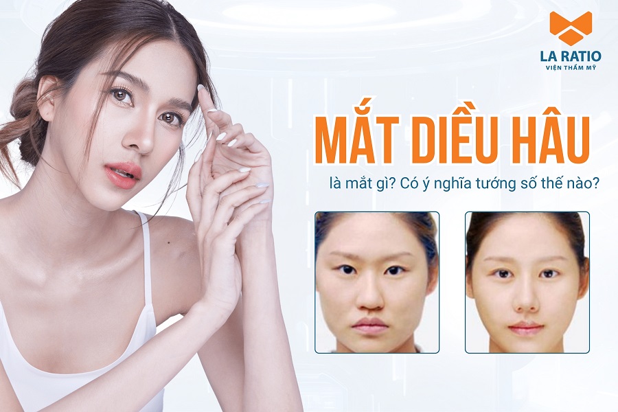 Mắt diều hâu là mắt gì? Xem tướng mắt diều hâu nam nữ tốt hay xấu? Mắt diều hâu là mắt gì? Xem tướng mắt diều hâu nam nữ tốt hay xấu?