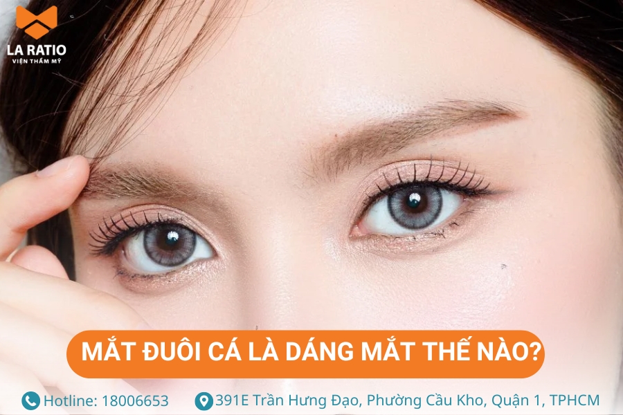 Mắt đuôi cá có phần đuôi kéo dài, hơi xếch lên phía trên Mắt đuôi cá có phần đuôi kéo dài, hơi xếch lên phía trên