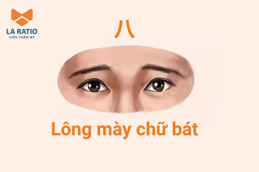 Chân mày chữ bát có hình dáng tựa như chữ 八 trong tiếng Hán Chân mày chữ bát có hình dáng tựa như chữ 八 trong tiếng Hán