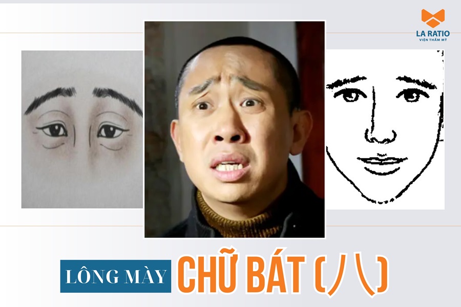Lông mày chữ bát (八): Đặc điểm nhận biết và ý nghĩa tướng số Lông mày chữ bát (八): Đặc điểm nhận biết và ý nghĩa tướng số