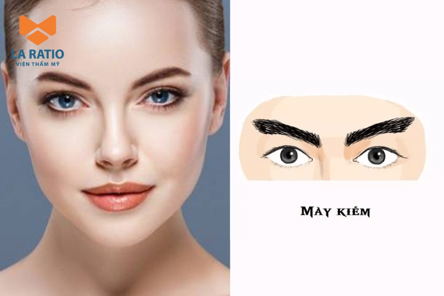 Chân mày lưỡi kiếm hơi xếch lên tựa như hình của lưỡi kiếm Chân mày lưỡi kiếm hơi xếch lên tựa như hình của lưỡi kiếm