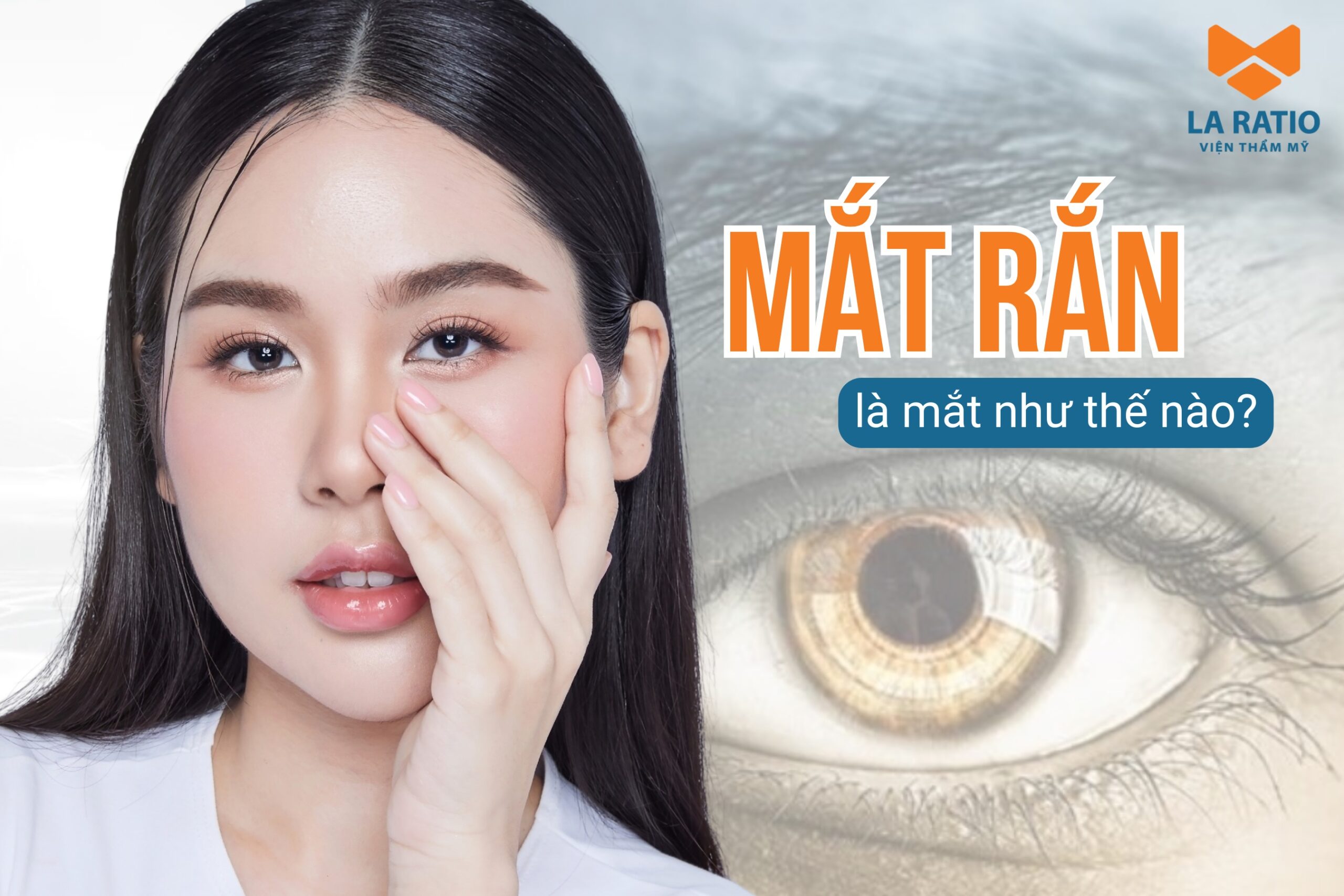 Mắt rắn là mắt như thế nào? Xem tướng người mắt rắn tốt hay xấu? Mắt rắn là mắt như thế nào? Xem tướng người mắt rắn tốt hay xấu?