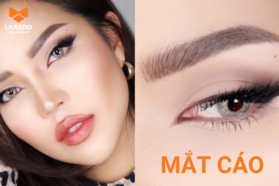Các đặc điểm nhận biết mắt hồ ly nhãn Các đặc điểm nhận biết mắt hồ ly nhãn