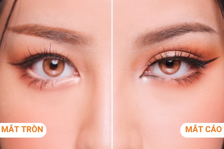 Mắt cáo có phần đuôi mắt xếch lên, tạo cảm giác quyến rũ Mắt cáo có phần đuôi mắt xếch lên, tạo cảm giác quyến rũ