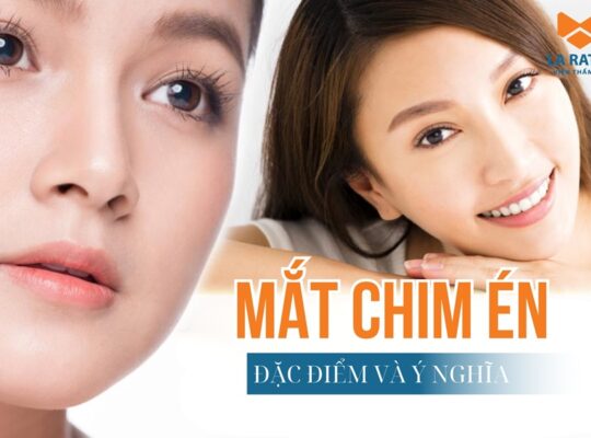 Mắt chim én là gì? Đặc điểm và ý nghĩa nhân tướng học