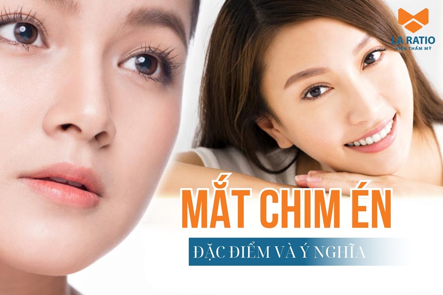 Mắt chim én là gì? Đặc điểm và ý nghĩa nhân tướng học Mắt chim én là gì? Đặc điểm và ý nghĩa nhân tướng học